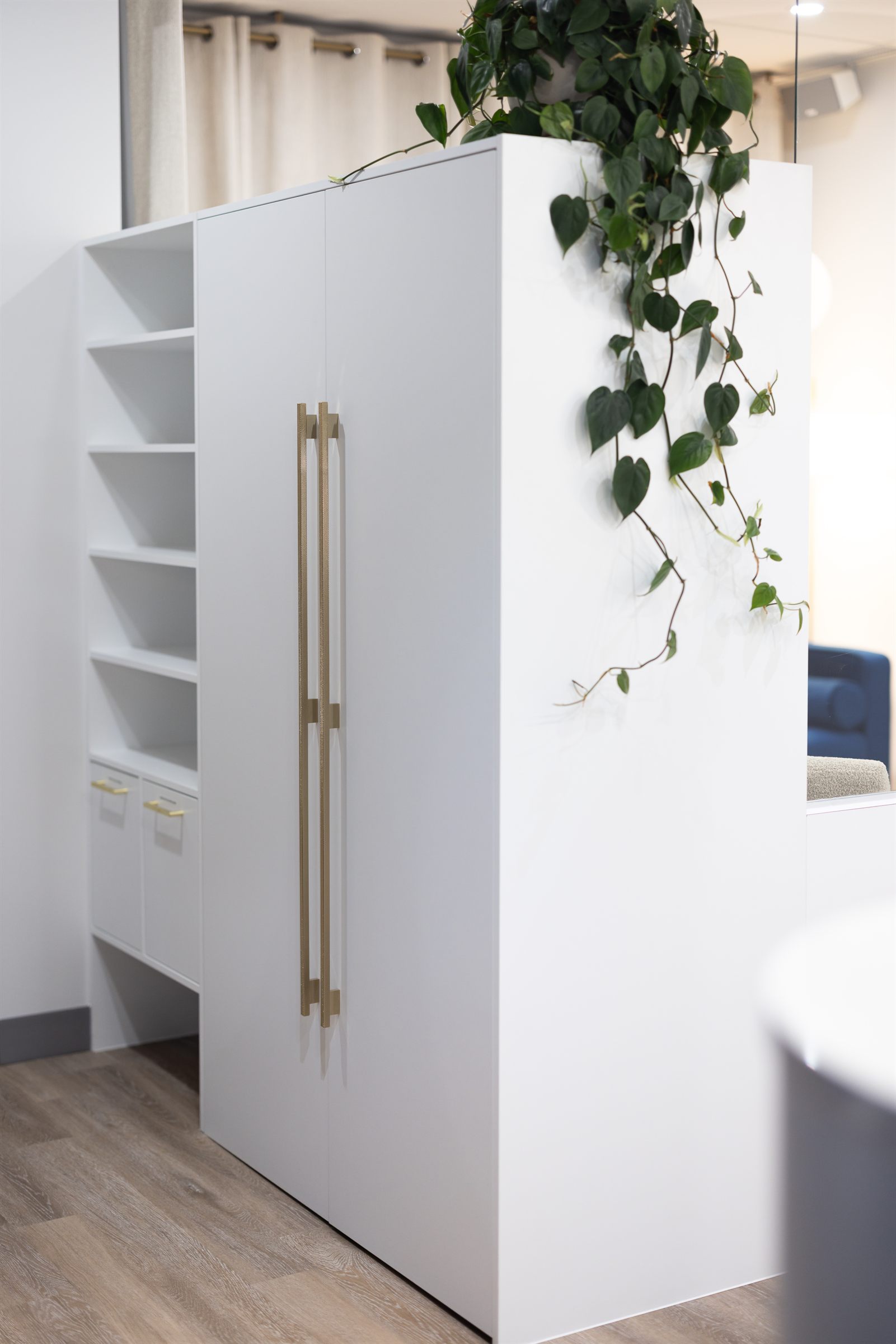 Rangement blanc à poignées dorées et végétation retombante, Cabinet Dento-Esthétique, Québec
